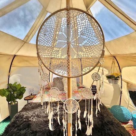 The Pisces-A Stargazing, Luxury Glamping Tent Rogersville المظهر الخارجي الصورة
