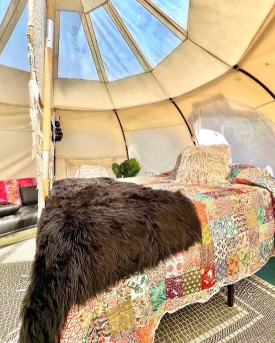 The Pisces-A Stargazing, Luxury Glamping Tent Rogersville المظهر الخارجي الصورة