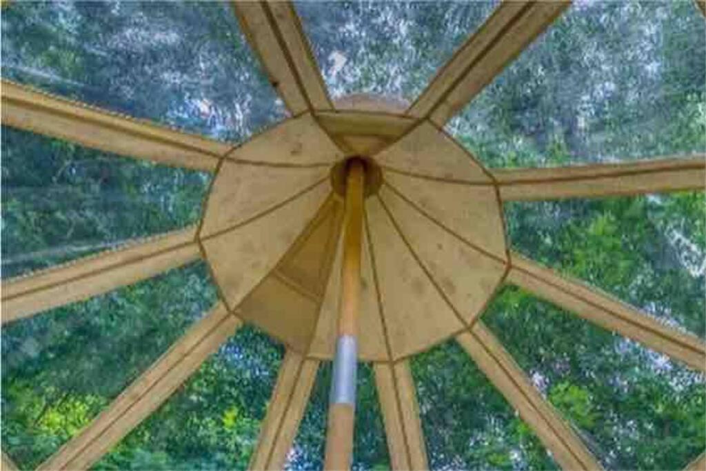 The Pisces-A Stargazing, Luxury Glamping Tent Rogersville المظهر الخارجي الصورة