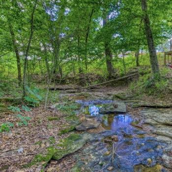 The Pisces-A Stargazing, Luxury Glamping Tent Rogersville المظهر الخارجي الصورة